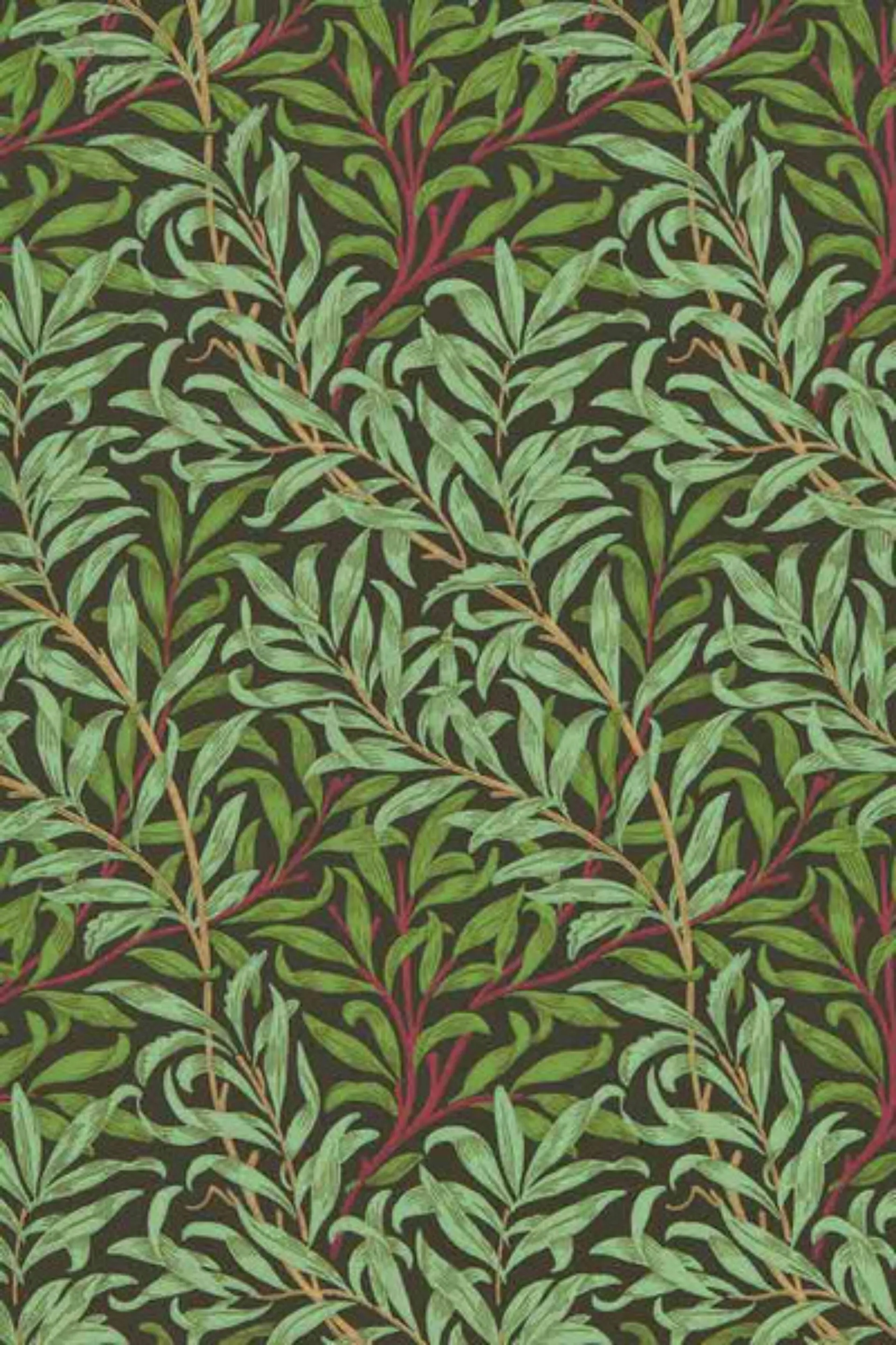 FatterIGrow OnlyFans header