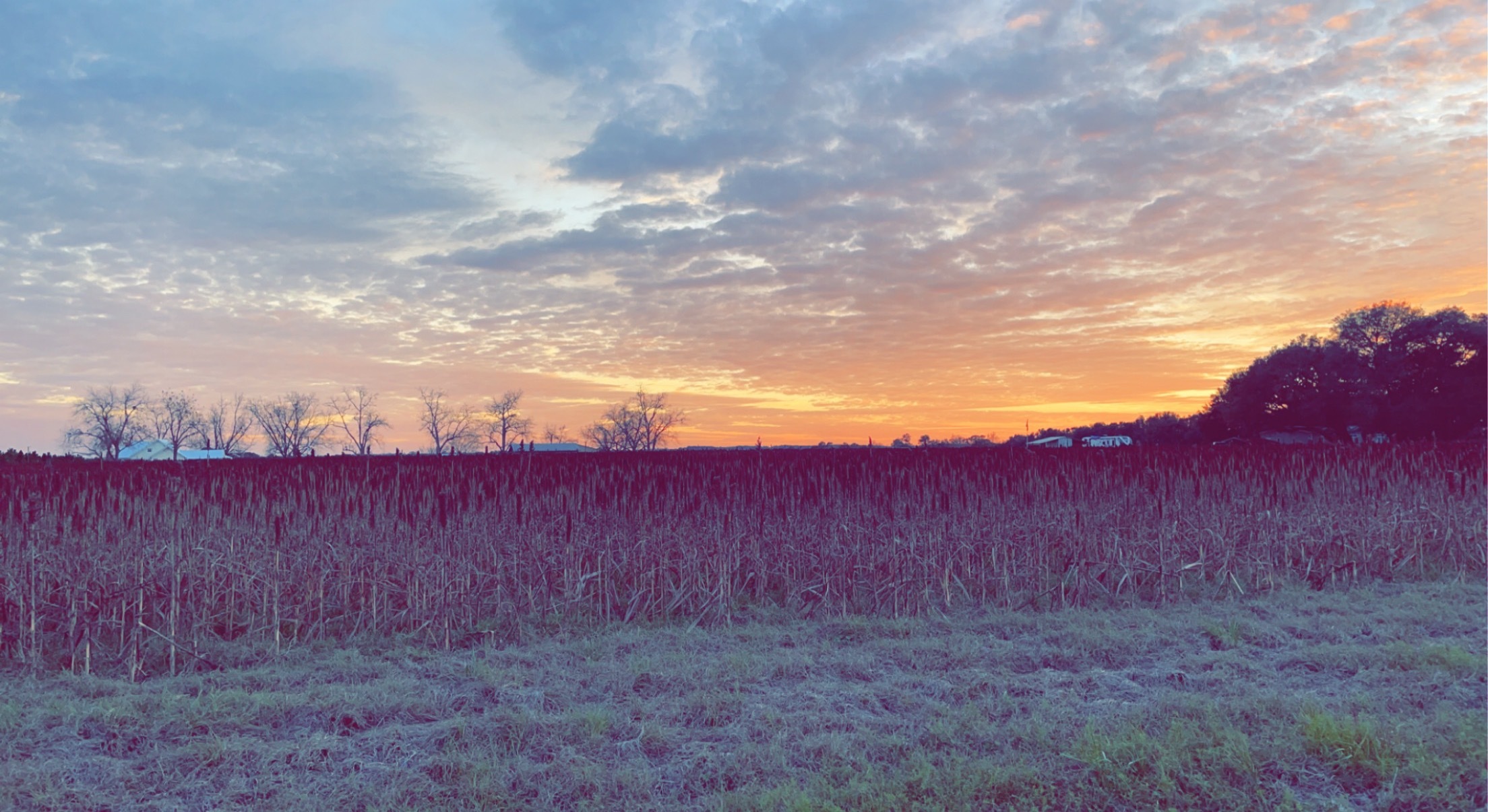 DeeDee OnlyFans header