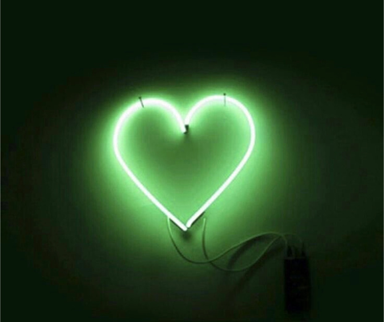 Fauna OnlyFans header