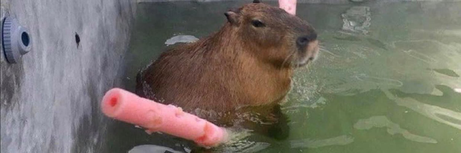 D🐮🤍 OnlyFans header