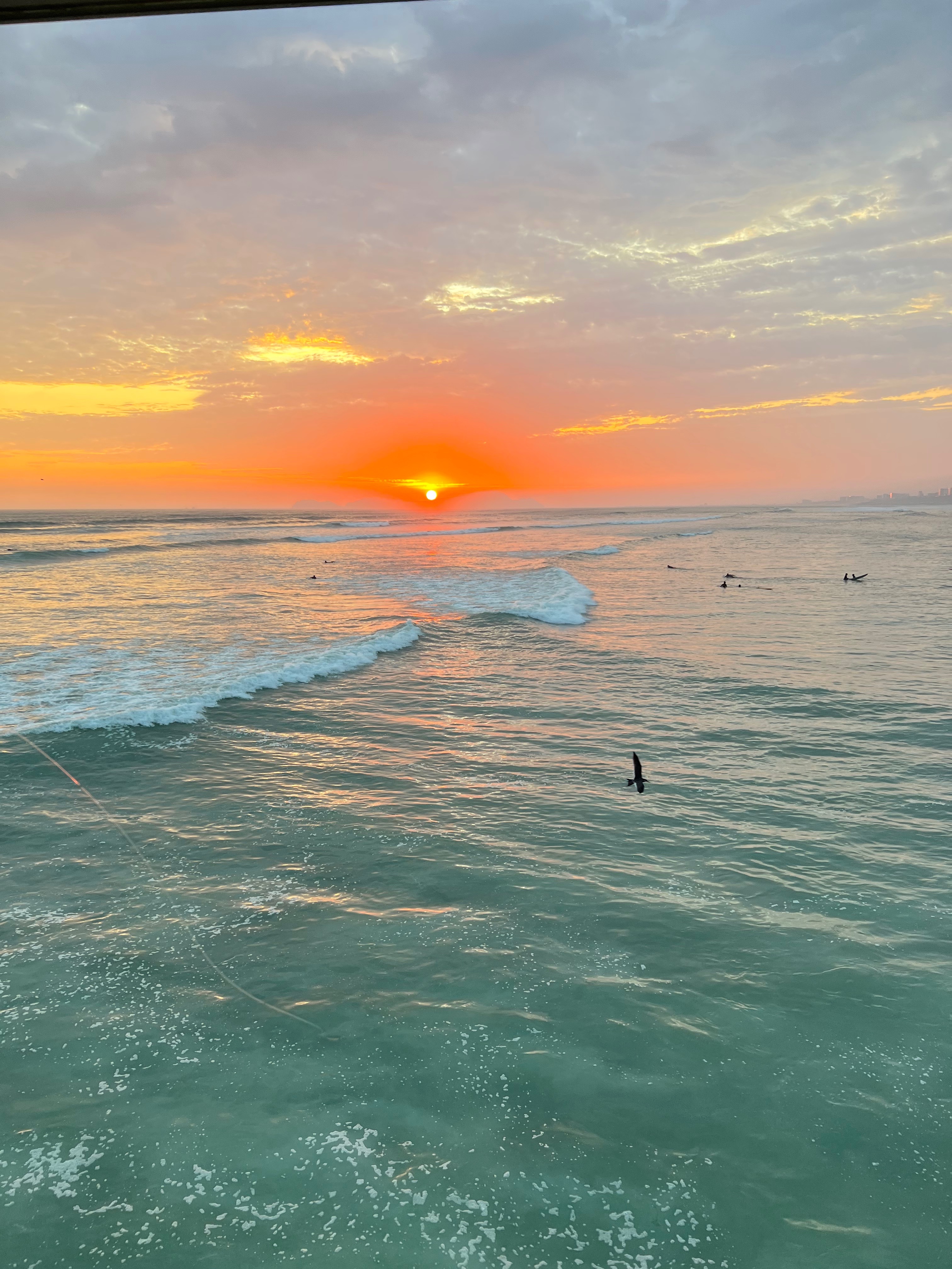 Favi OnlyFans header