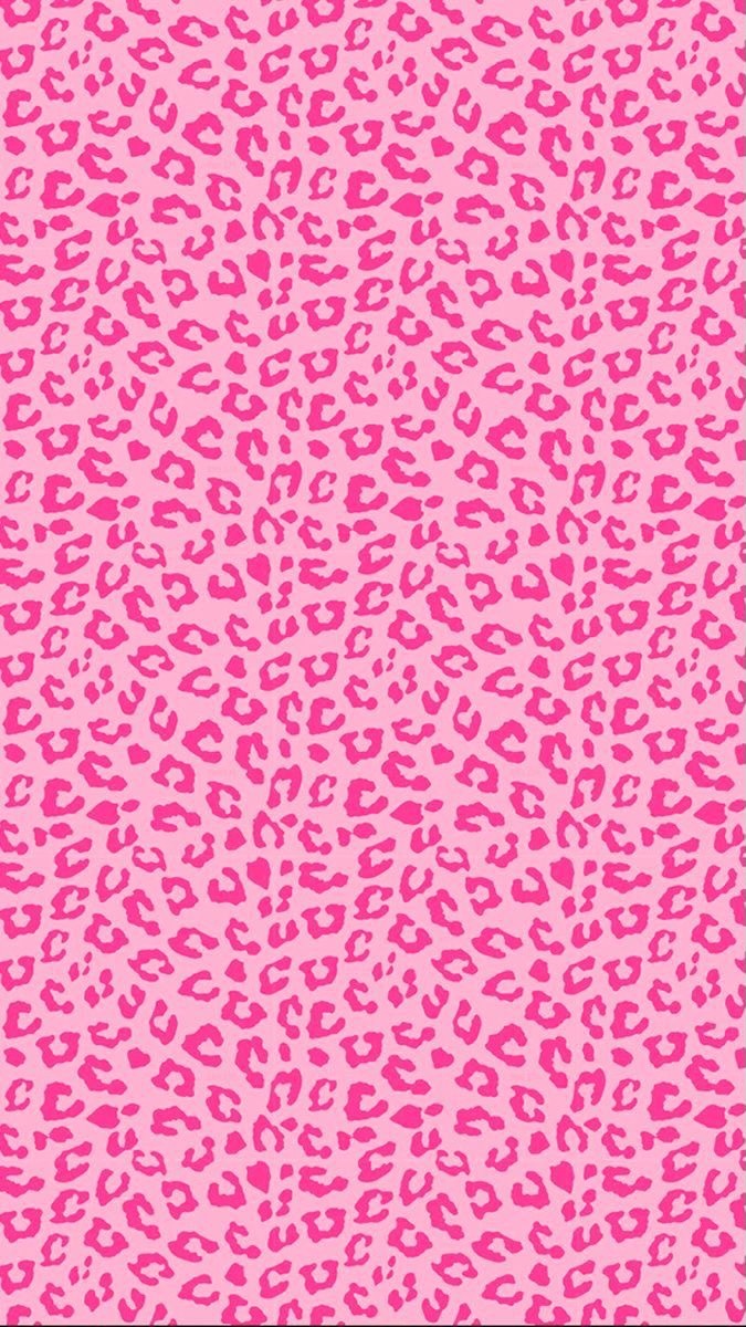 KITTY OnlyFans header