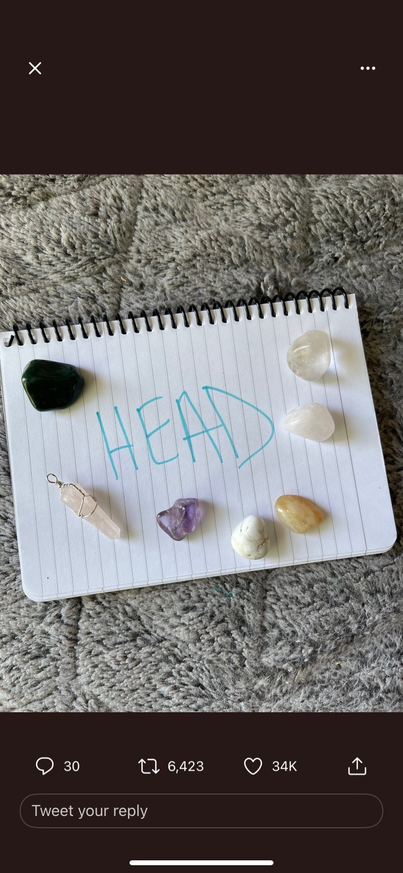 elena OnlyFans header