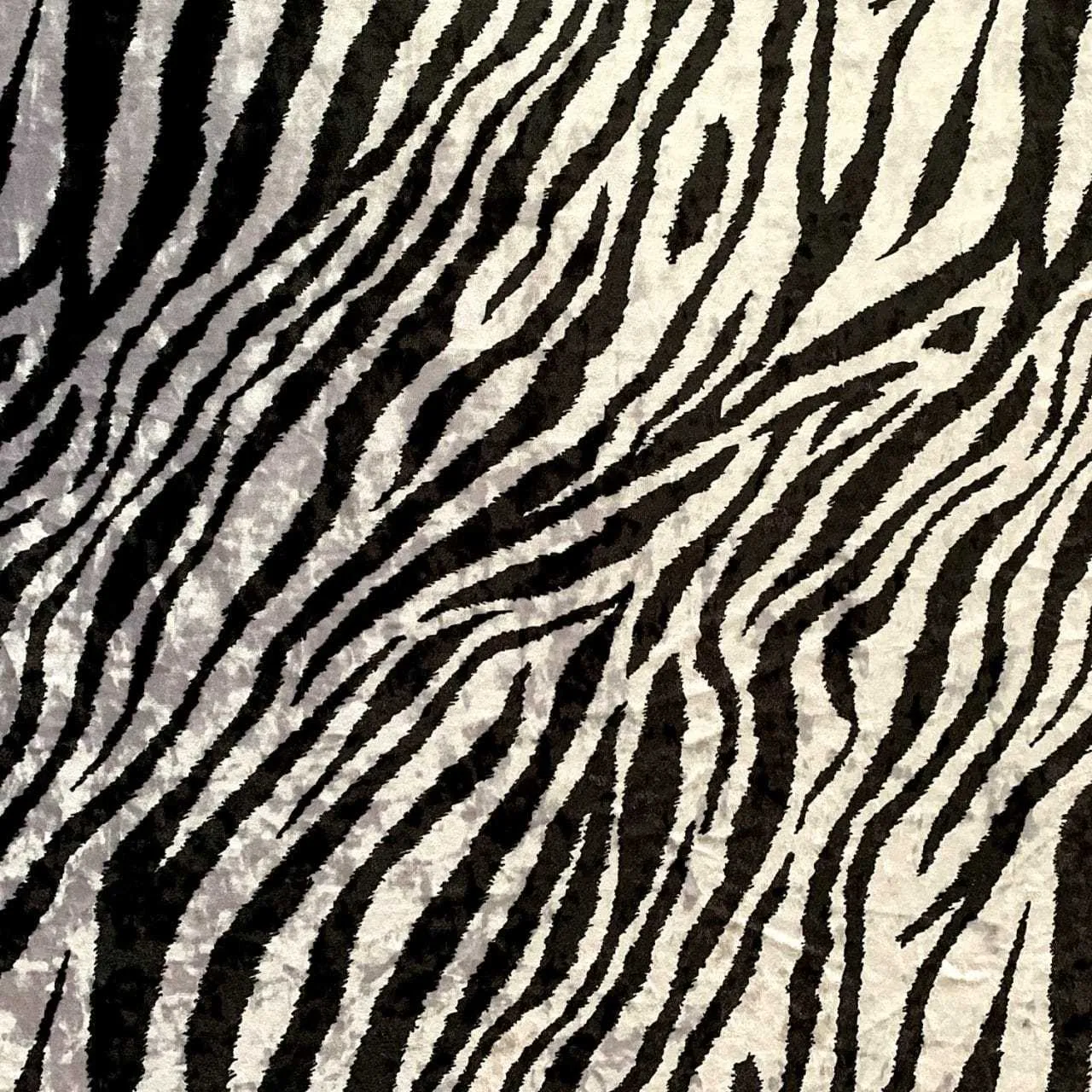 Tiffany OnlyFans header