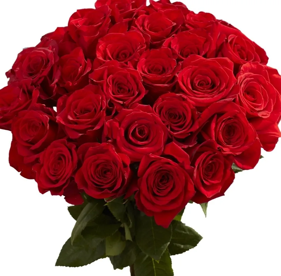 Favour Williams OnlyFans header