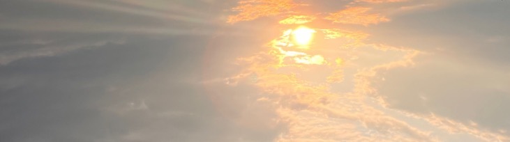 Fawn Cena (free) OnlyFans header