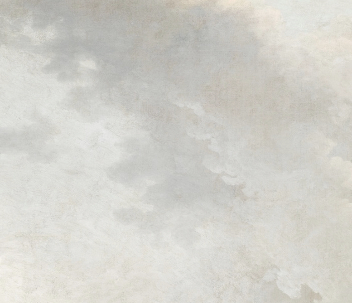 fawn OnlyFans header