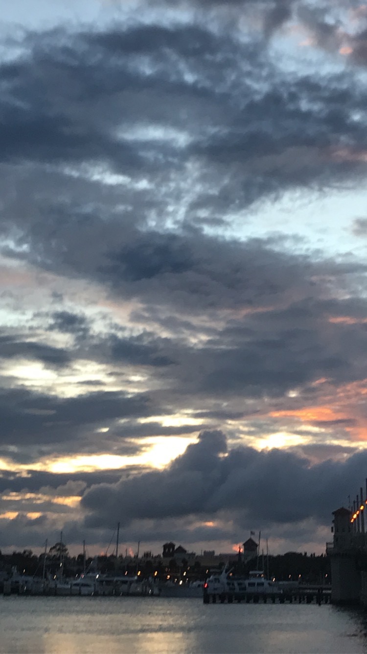 Fawn OnlyFans header