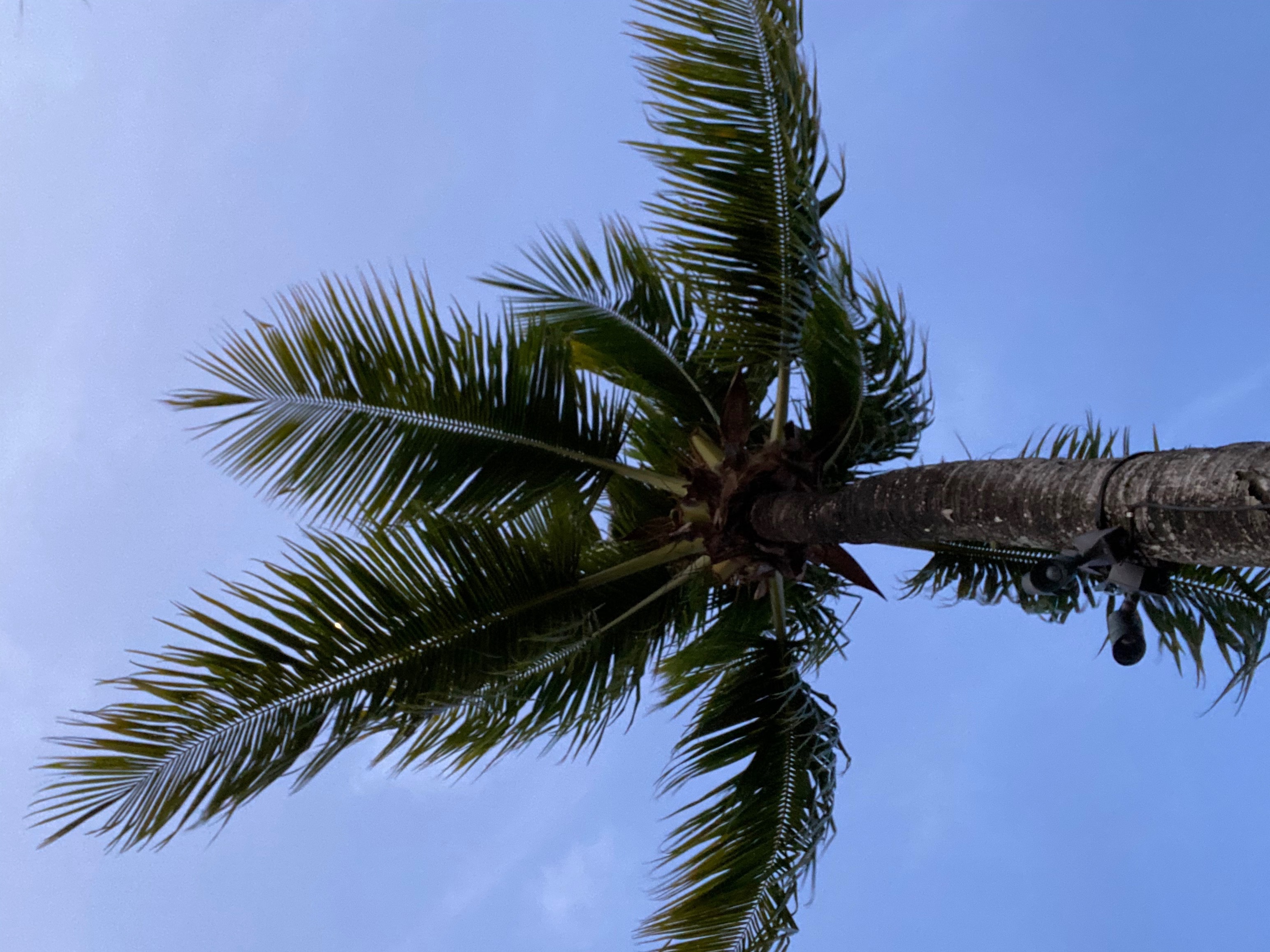 Nova ✨ OnlyFans header