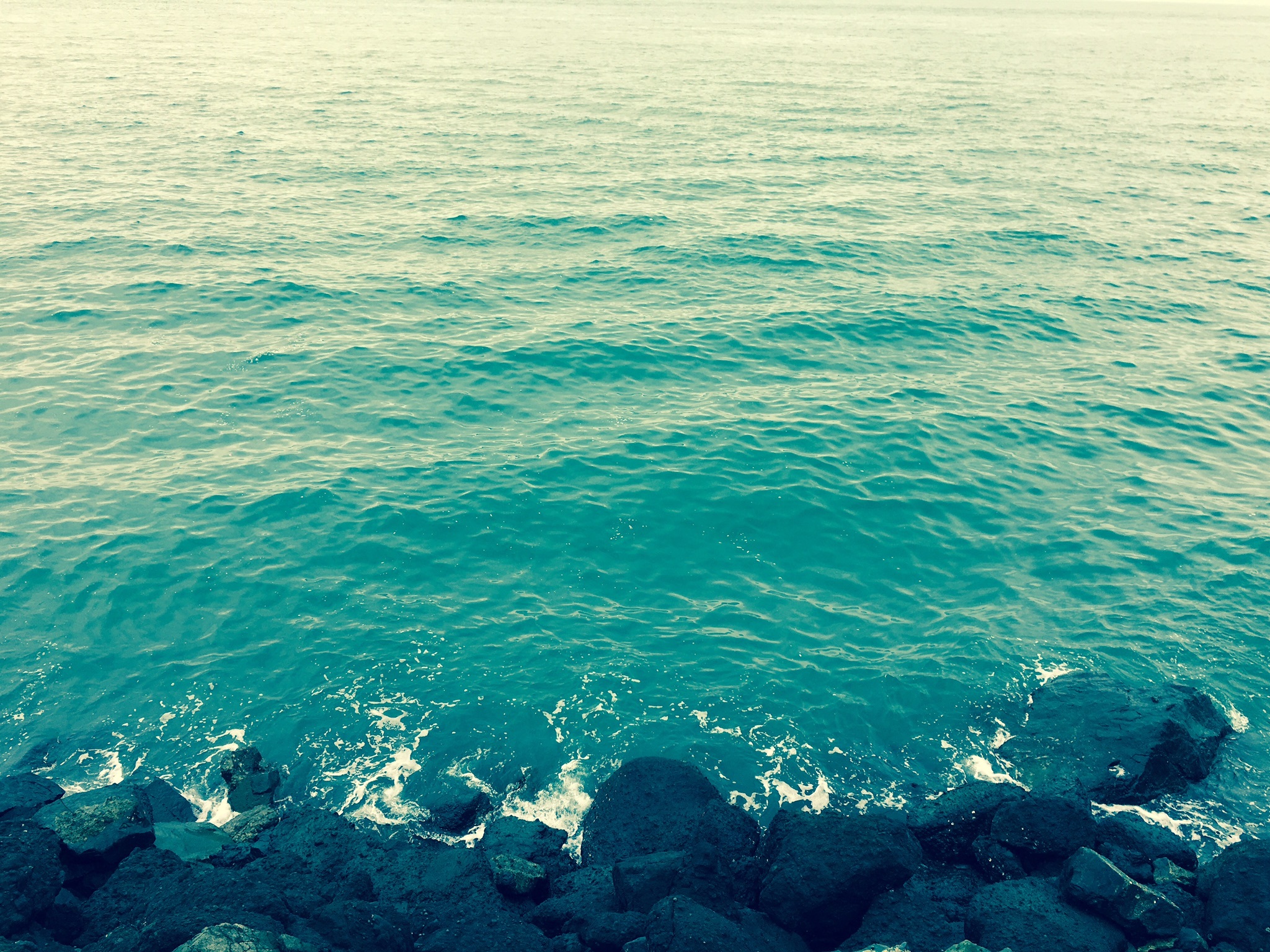 SirFizzleWizzle OnlyFans header