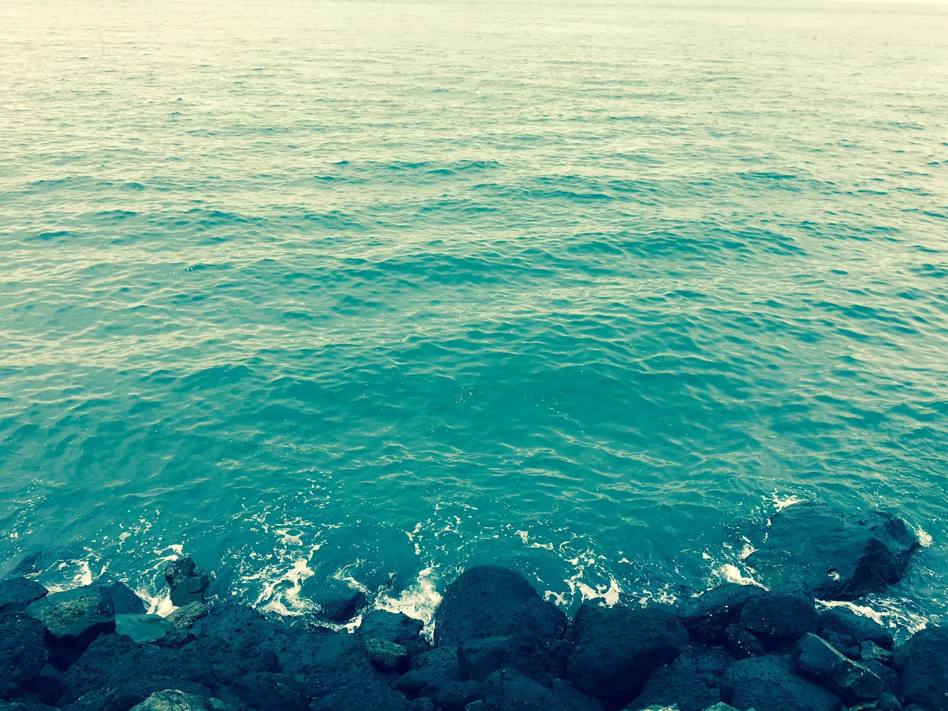 SirFizzleWizzle OnlyFans header