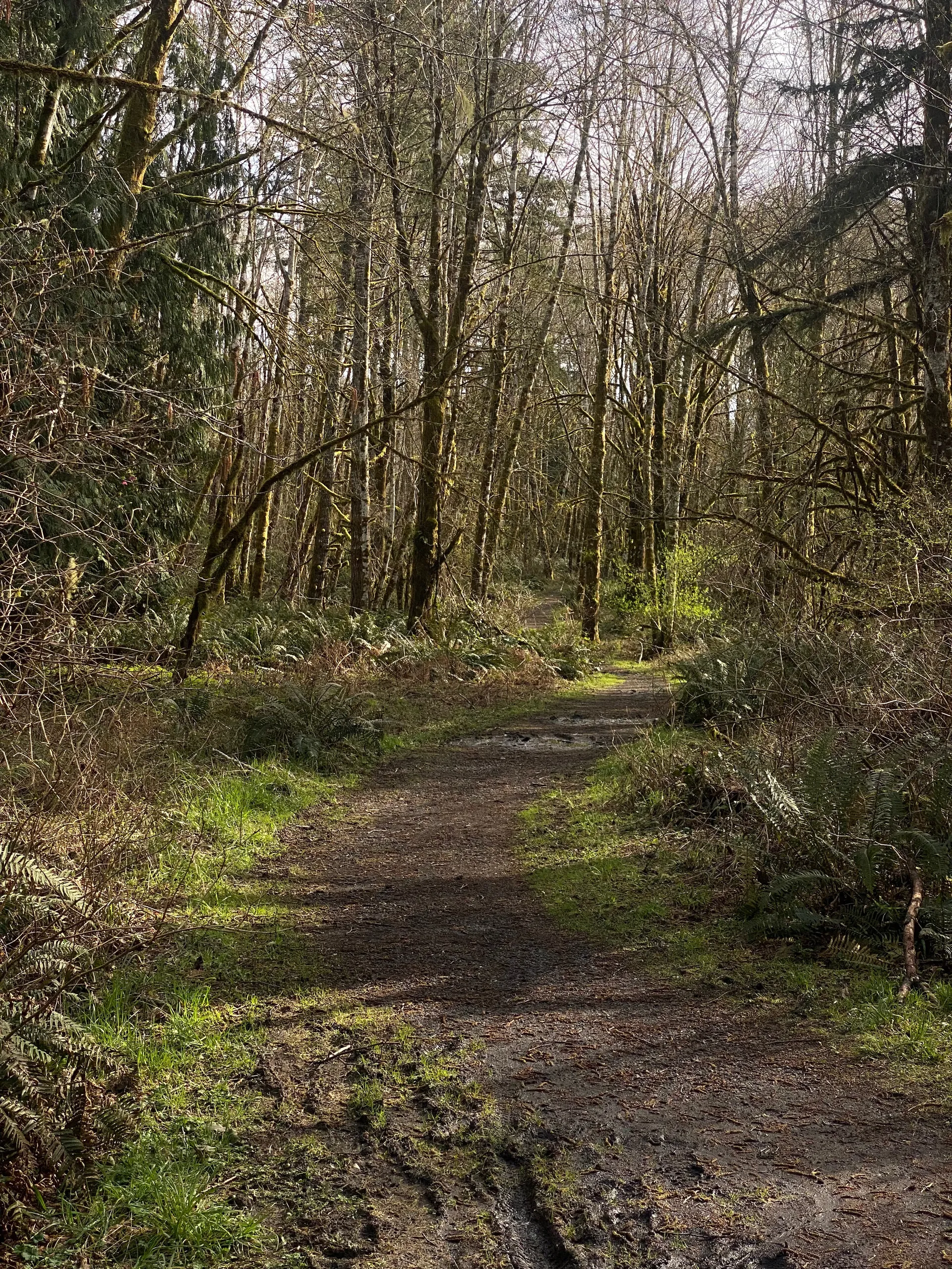 Fearn OnlyFans header