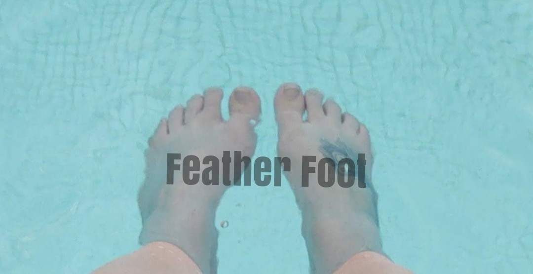 Feather Foot OnlyFans header