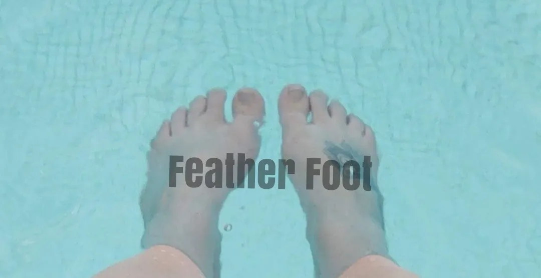 Feather Foot OnlyFans header