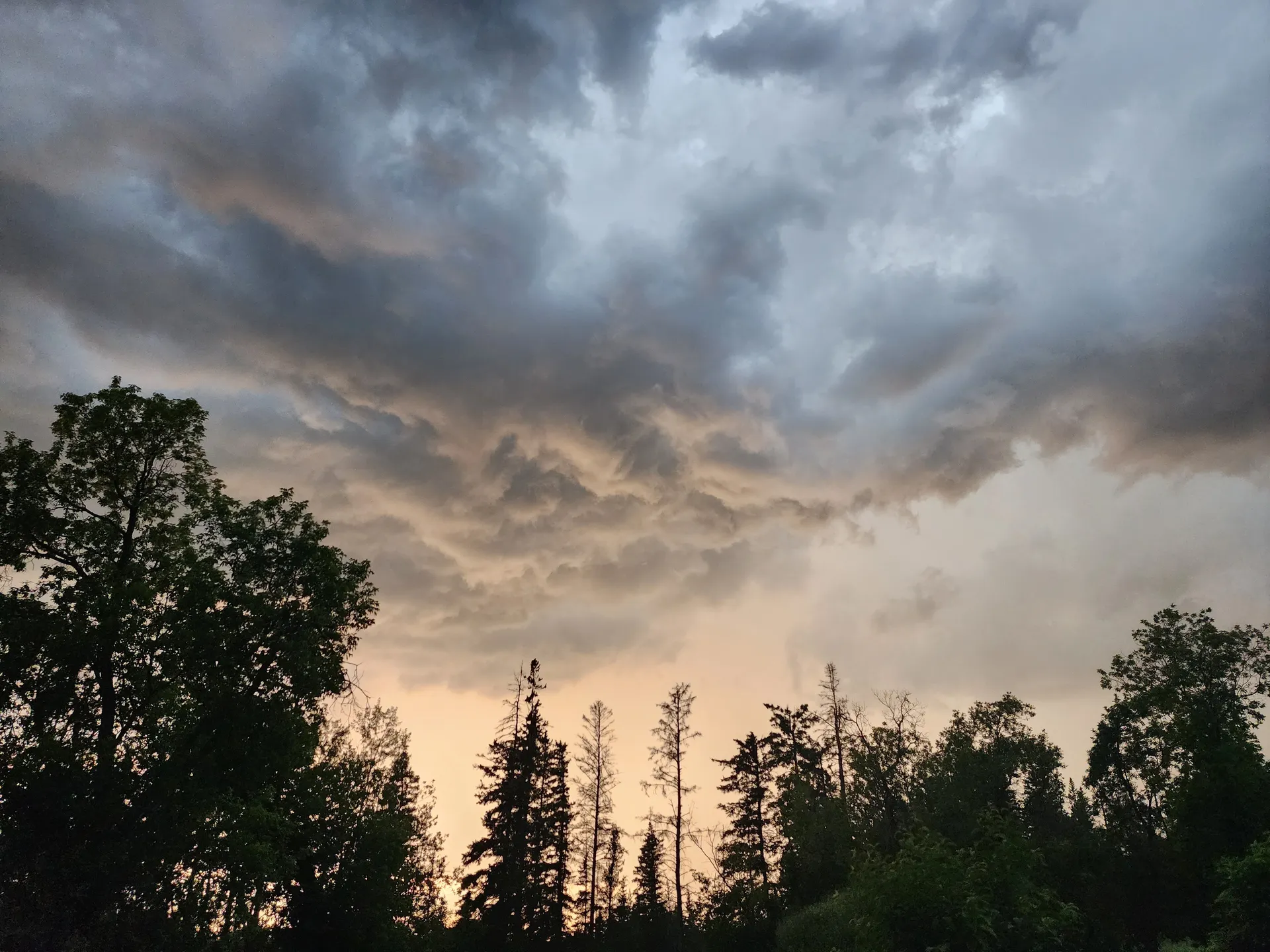 Feathered Fox OnlyFans header