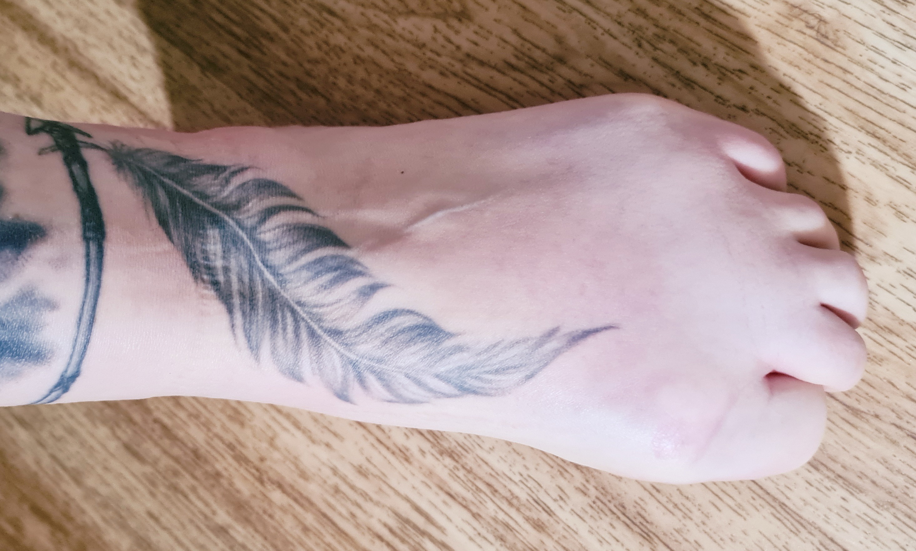 girl with the feather tattoo OnlyFans header