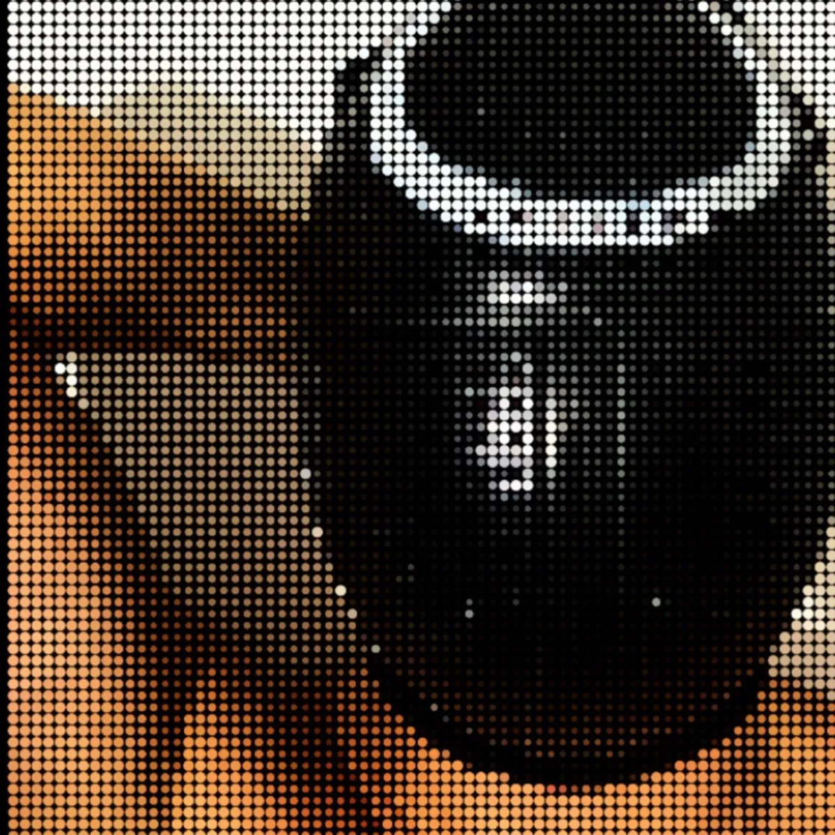 𝑭𝑬𝑫𝑬𝑹𝑰𝑪𝑶 𝑪𝑨𝑹𝑵𝑬𝑽𝑨𝑳𝑬