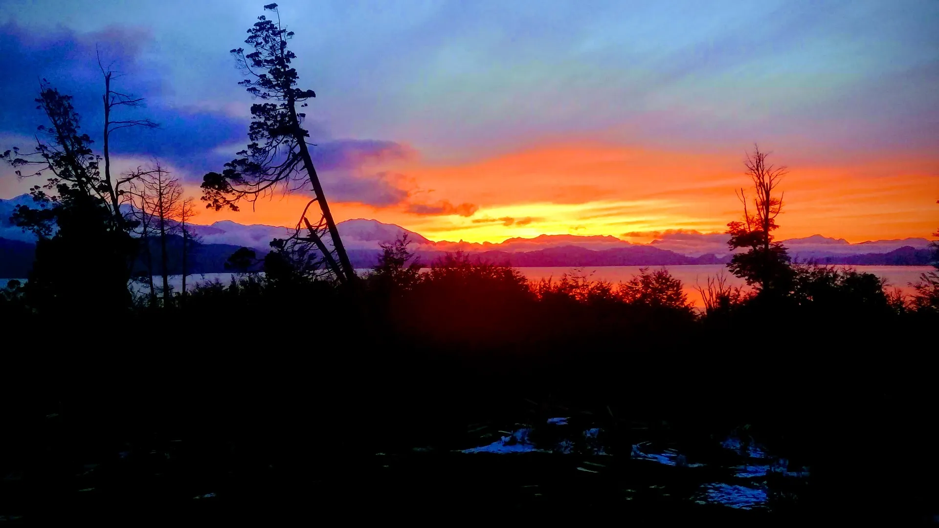 Fedex OnlyFans header