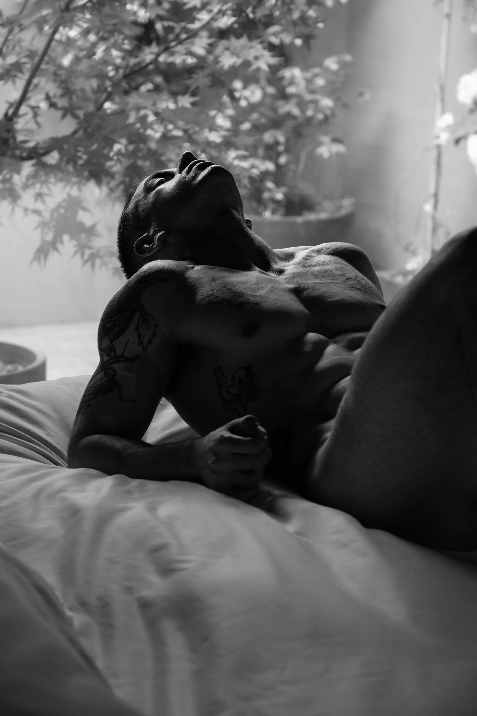 Fede tattoo OnlyFans header