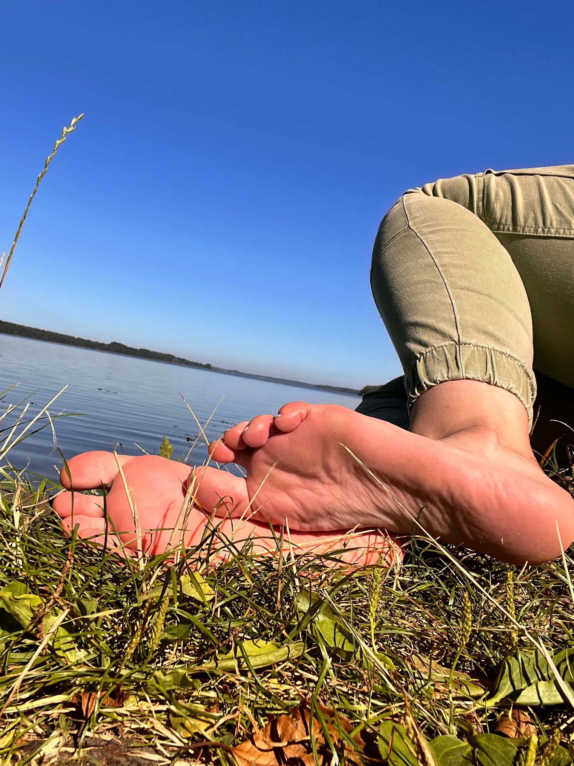 Anita OnlyFans header