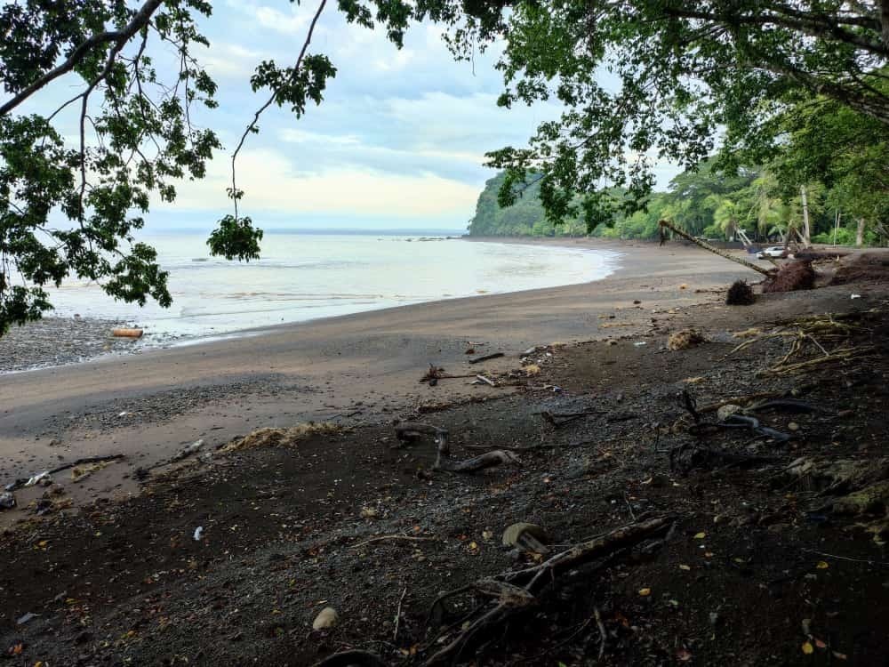 Fernando Baez OnlyFans header