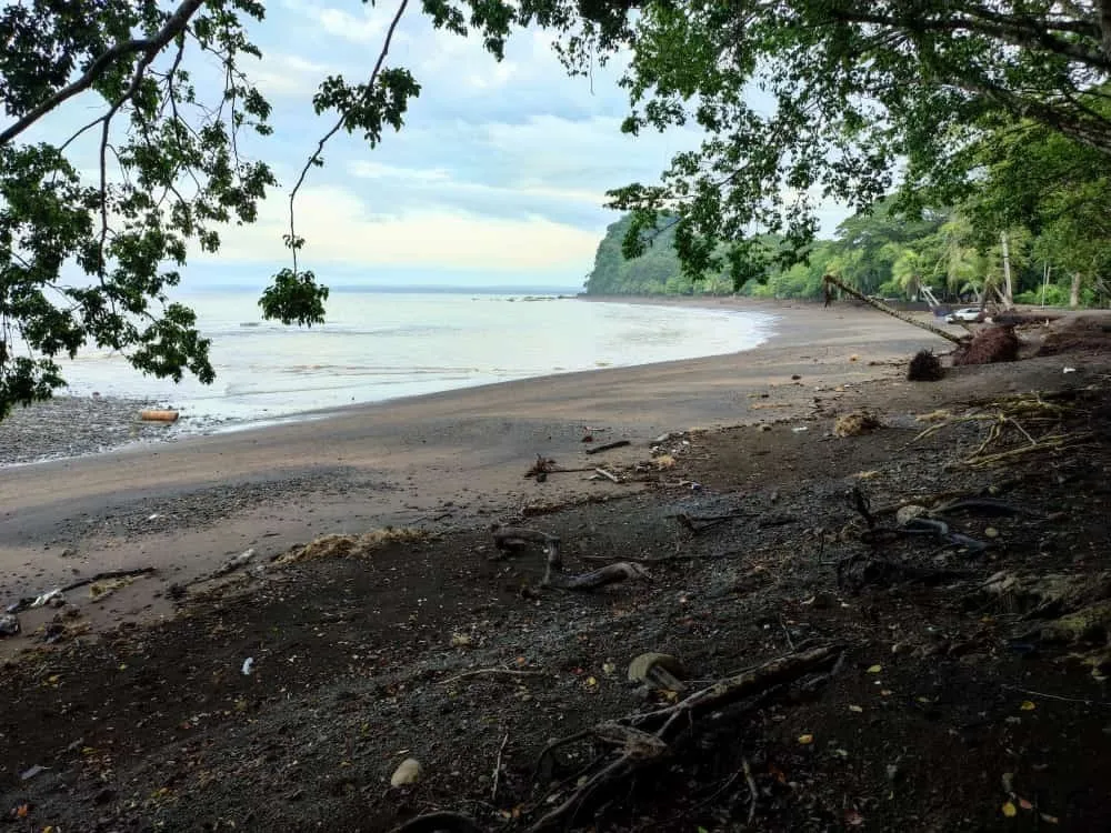 Fernando Baez OnlyFans header