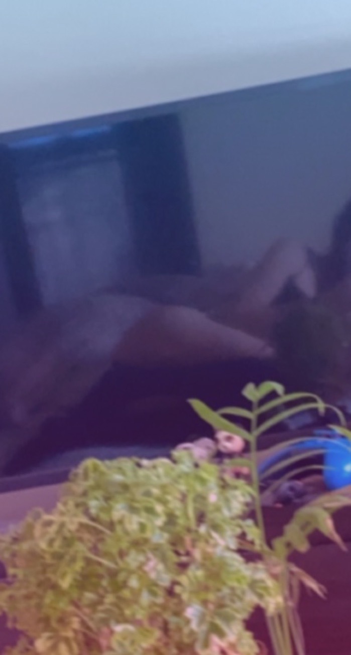 feebsbites <3 OnlyFans header