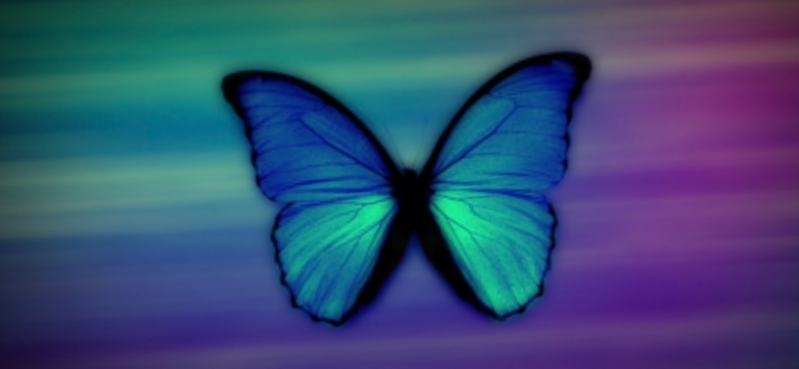 Sxyfeet OnlyFans header