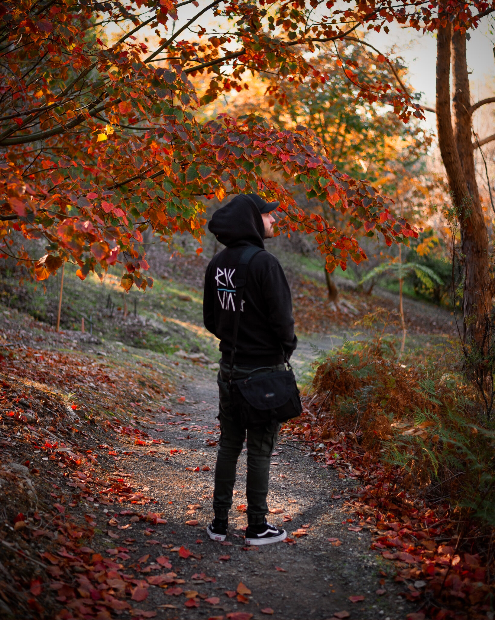 Matty OnlyFans header