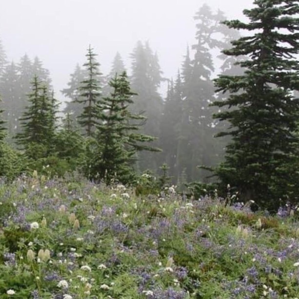 𝒥 𝒱𝒶𝓁𝑒𝓃𝓉𝒾𝓃𝑒 OnlyFans header