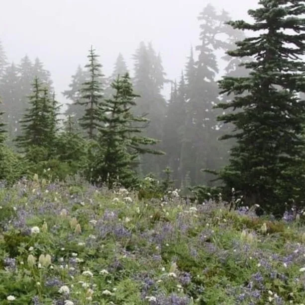 𝒥 𝒱𝒶𝓁𝑒𝓃𝓉𝒾𝓃𝑒 OnlyFans header