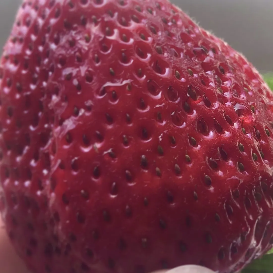 feet babe OnlyFans header