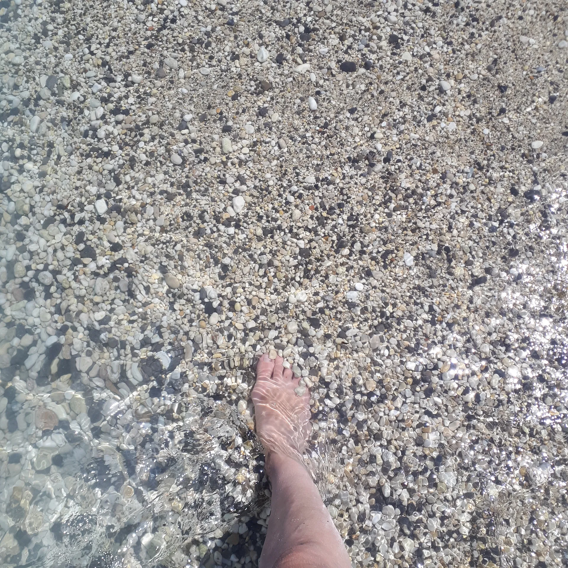 feet-eat OnlyFans header