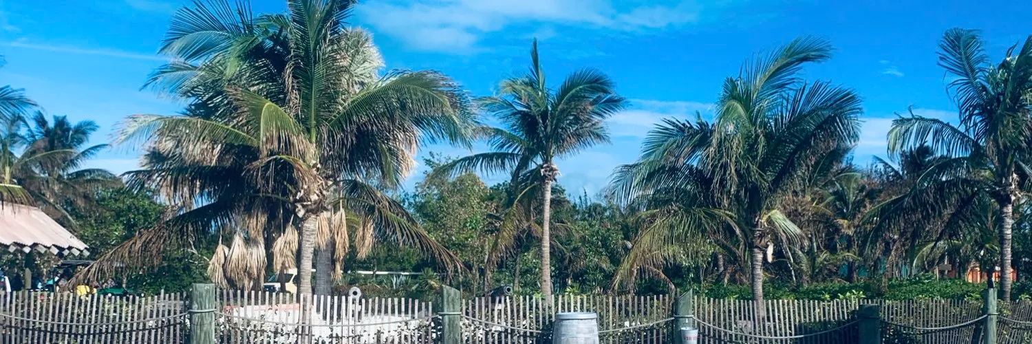 💕 OnlyFans header