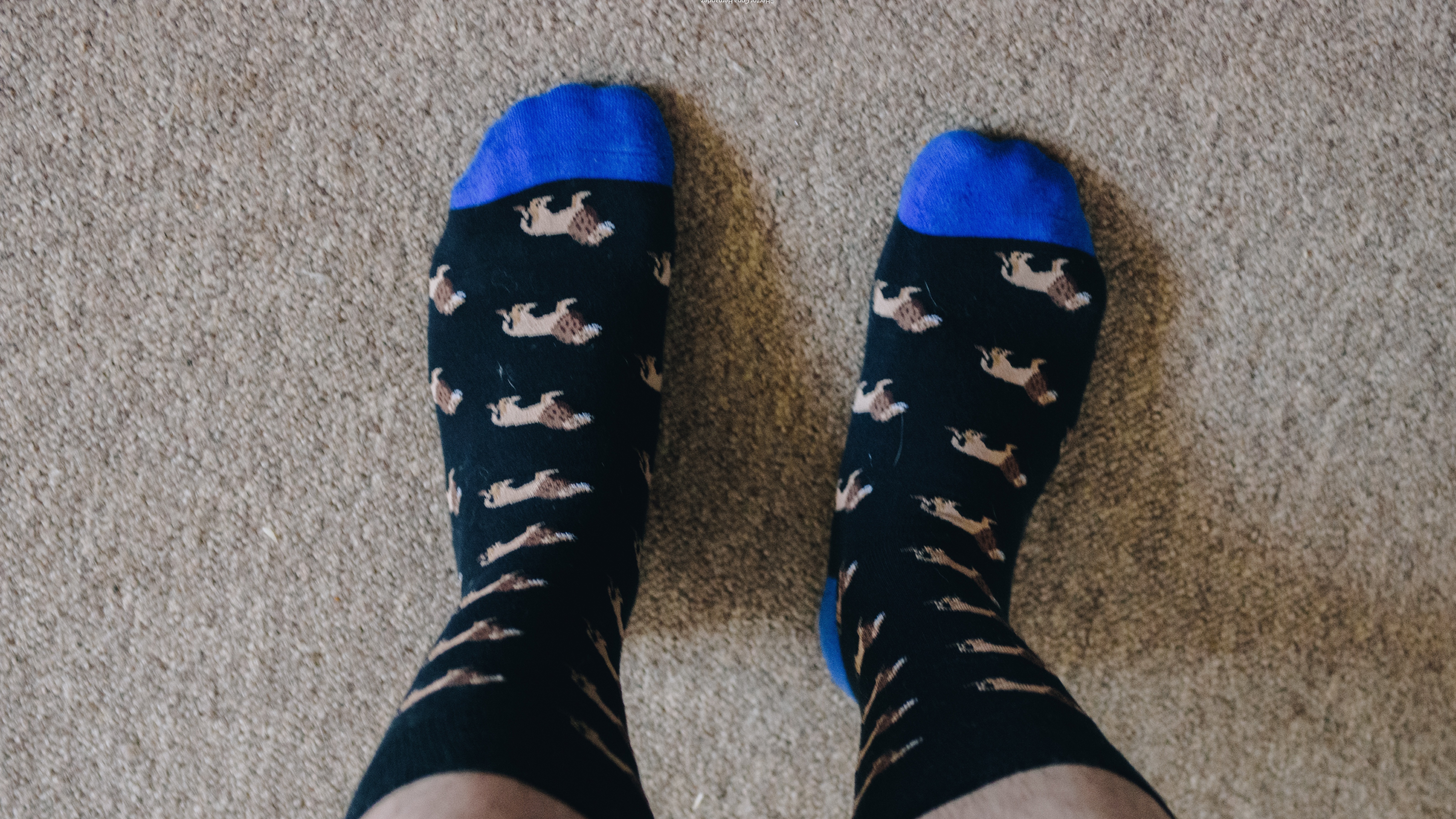 Feet Ian OnlyFans header