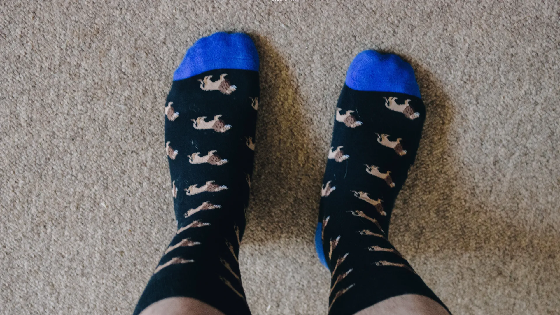 Feet Ian cover