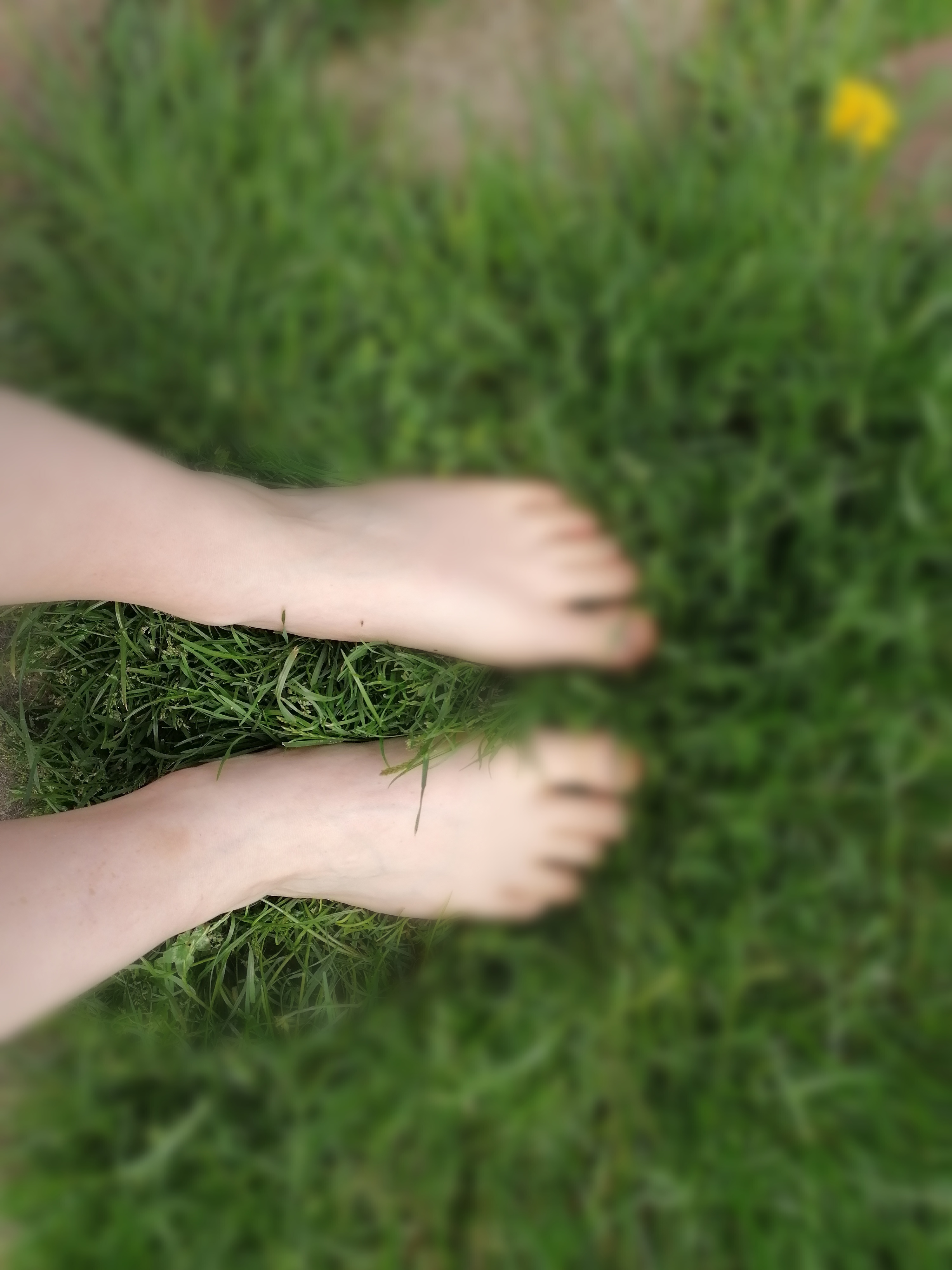 Sofia OnlyFans header