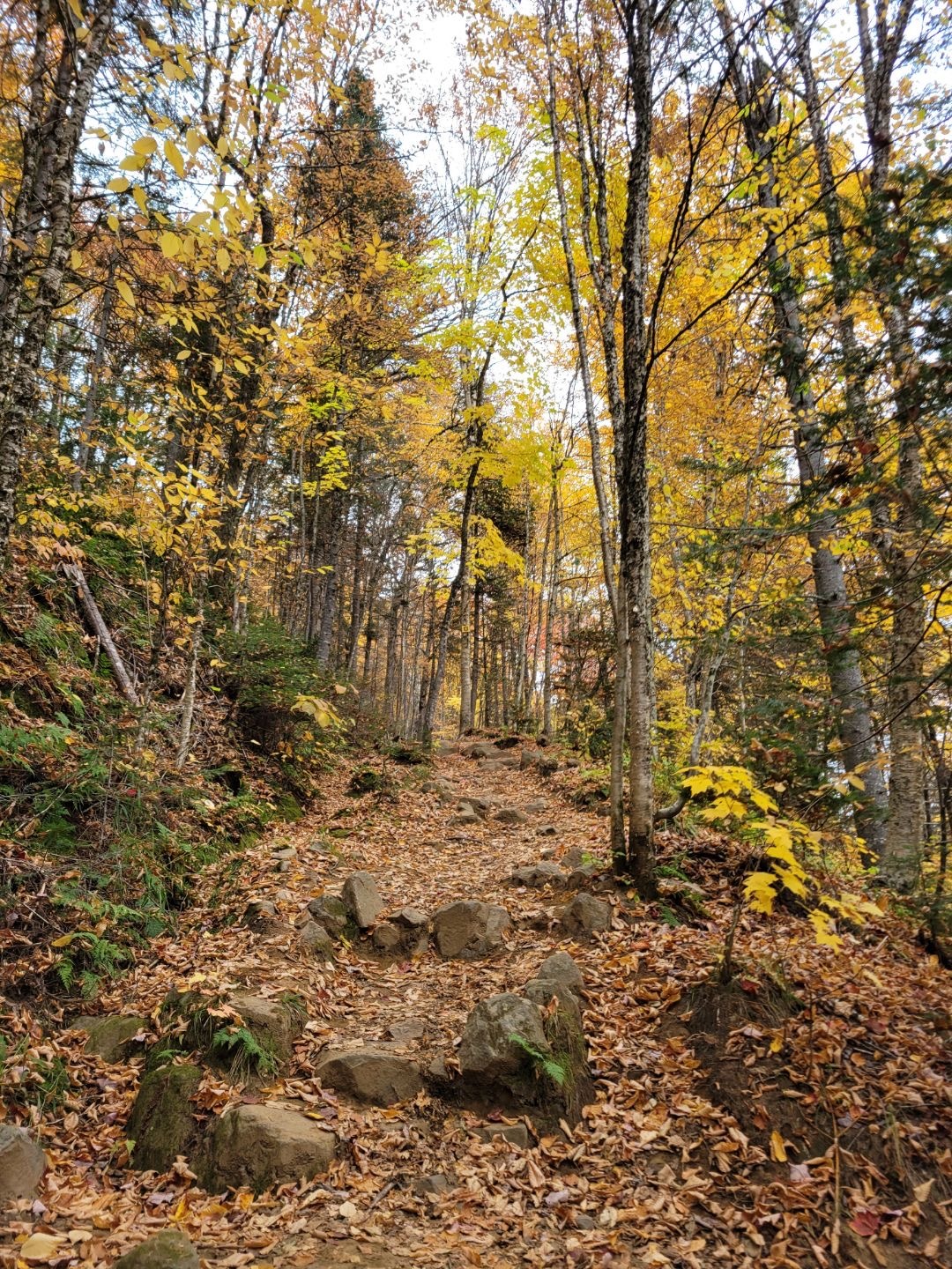 Feet.y OnlyFans header