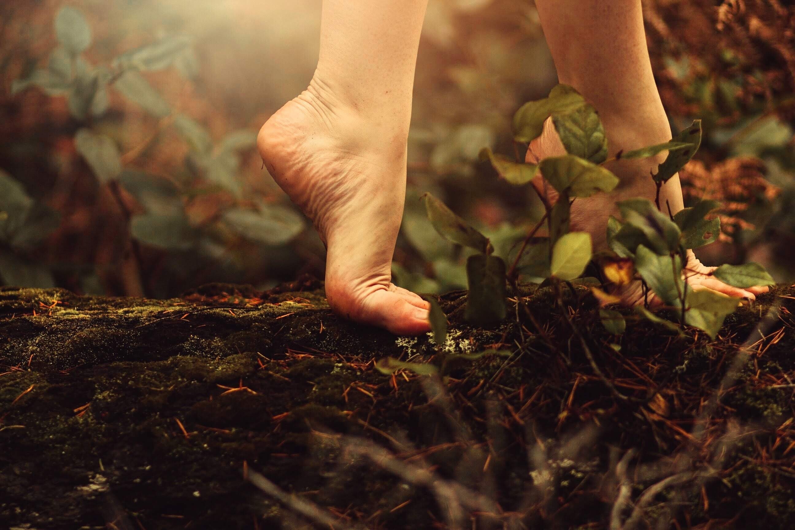 Feet For Dessert OnlyFans