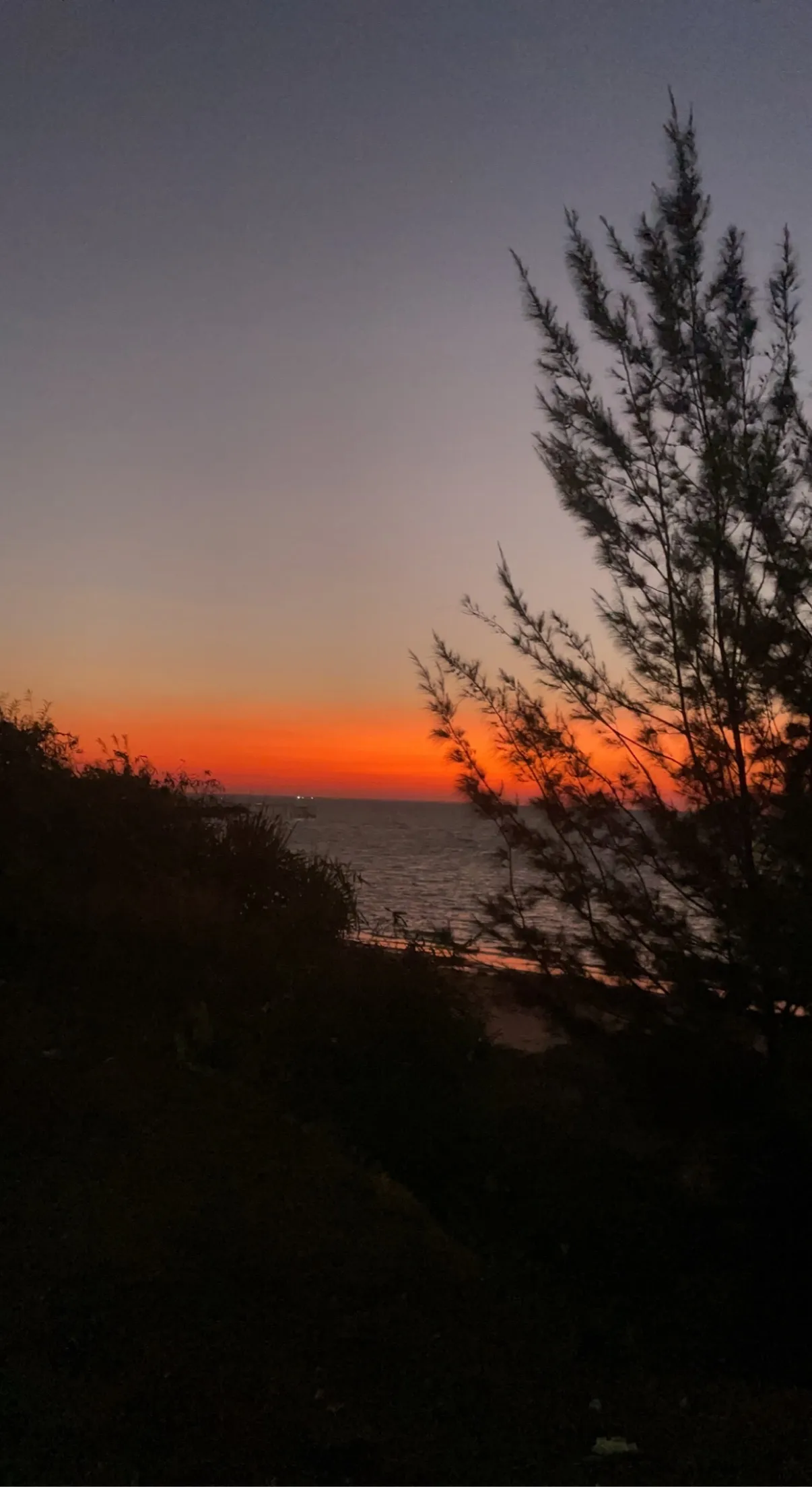 Onlyfeets OnlyFans header