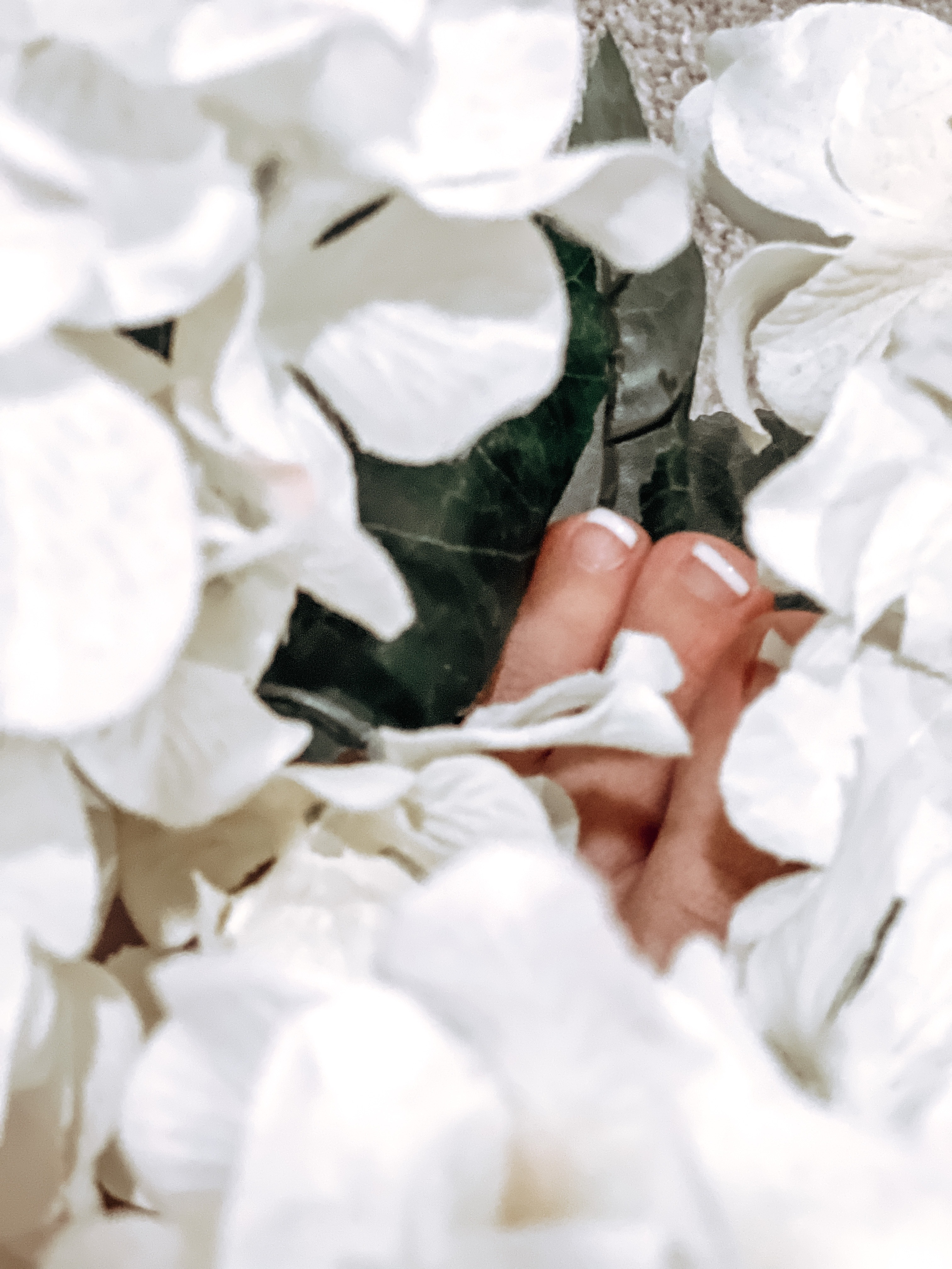 Feet_Aliciouss OnlyFans header