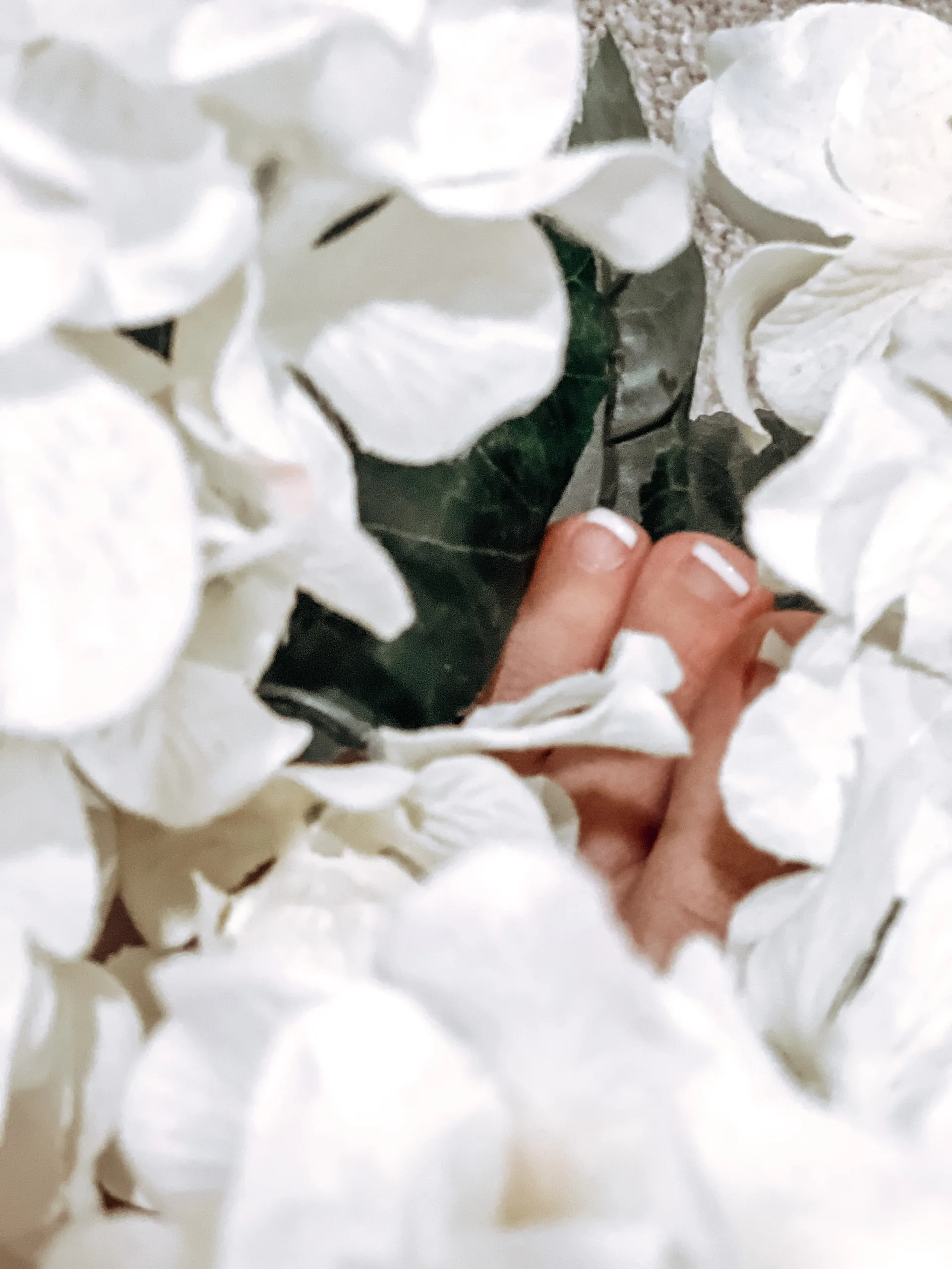 Feet_Aliciouss OnlyFans header