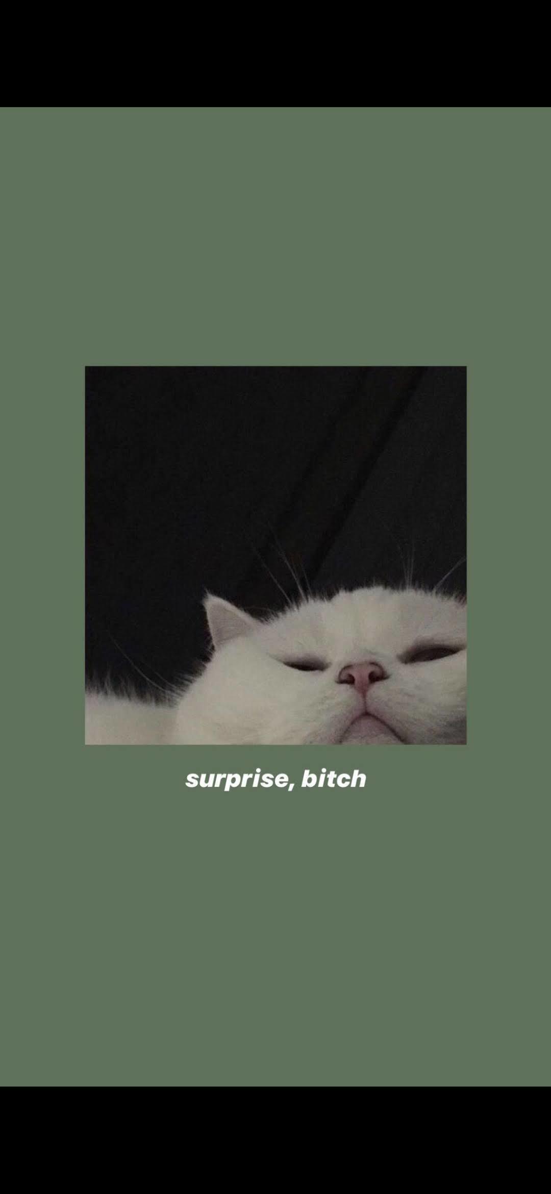 bigfeetenergy OnlyFans