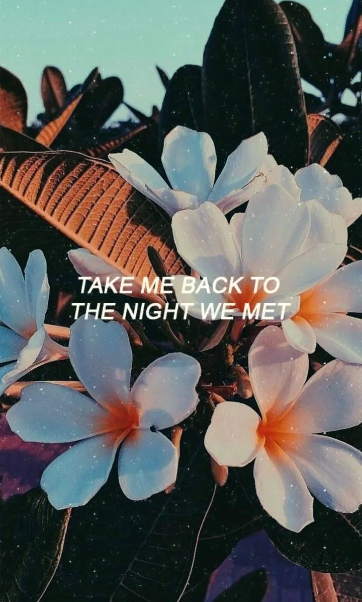 bigfeetenergy OnlyFans header