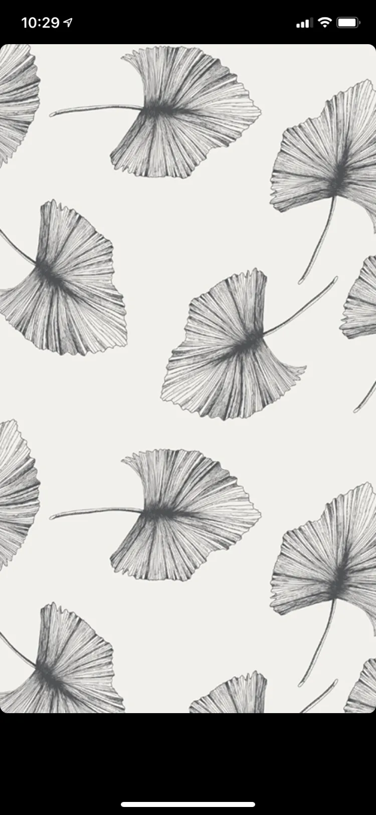 Isabelle OnlyFans header