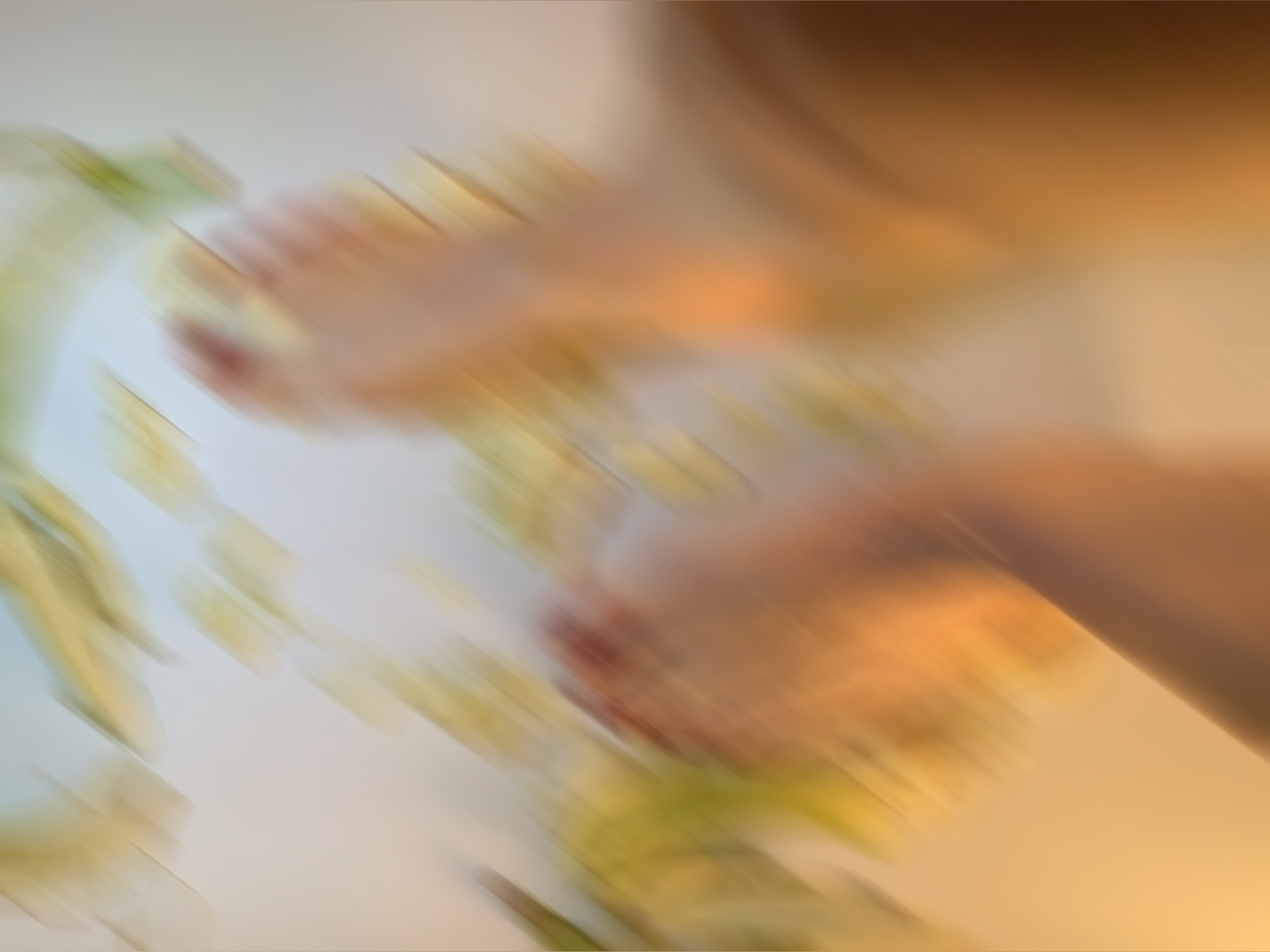 FEET FEASTS OnlyFans header