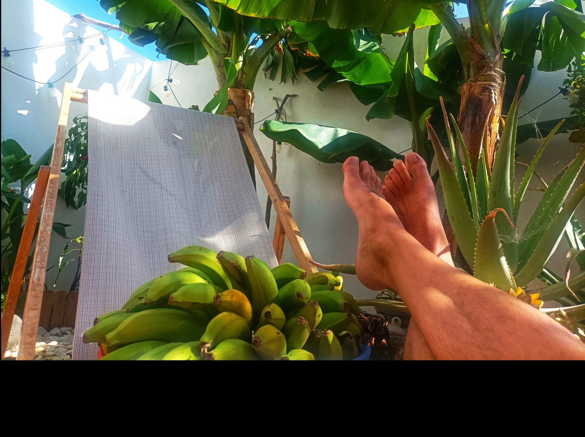 FeetIslands OnlyFans header