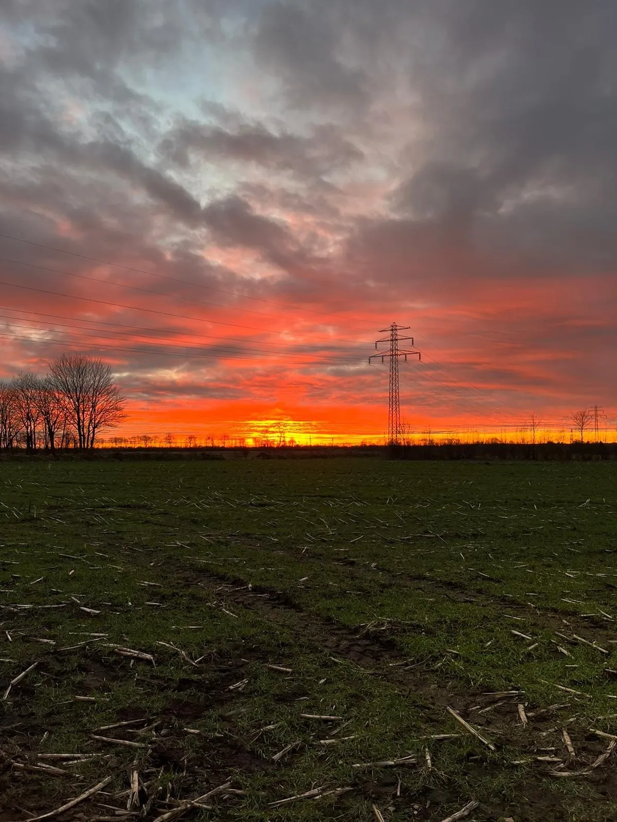 The Feet Man OnlyFans header