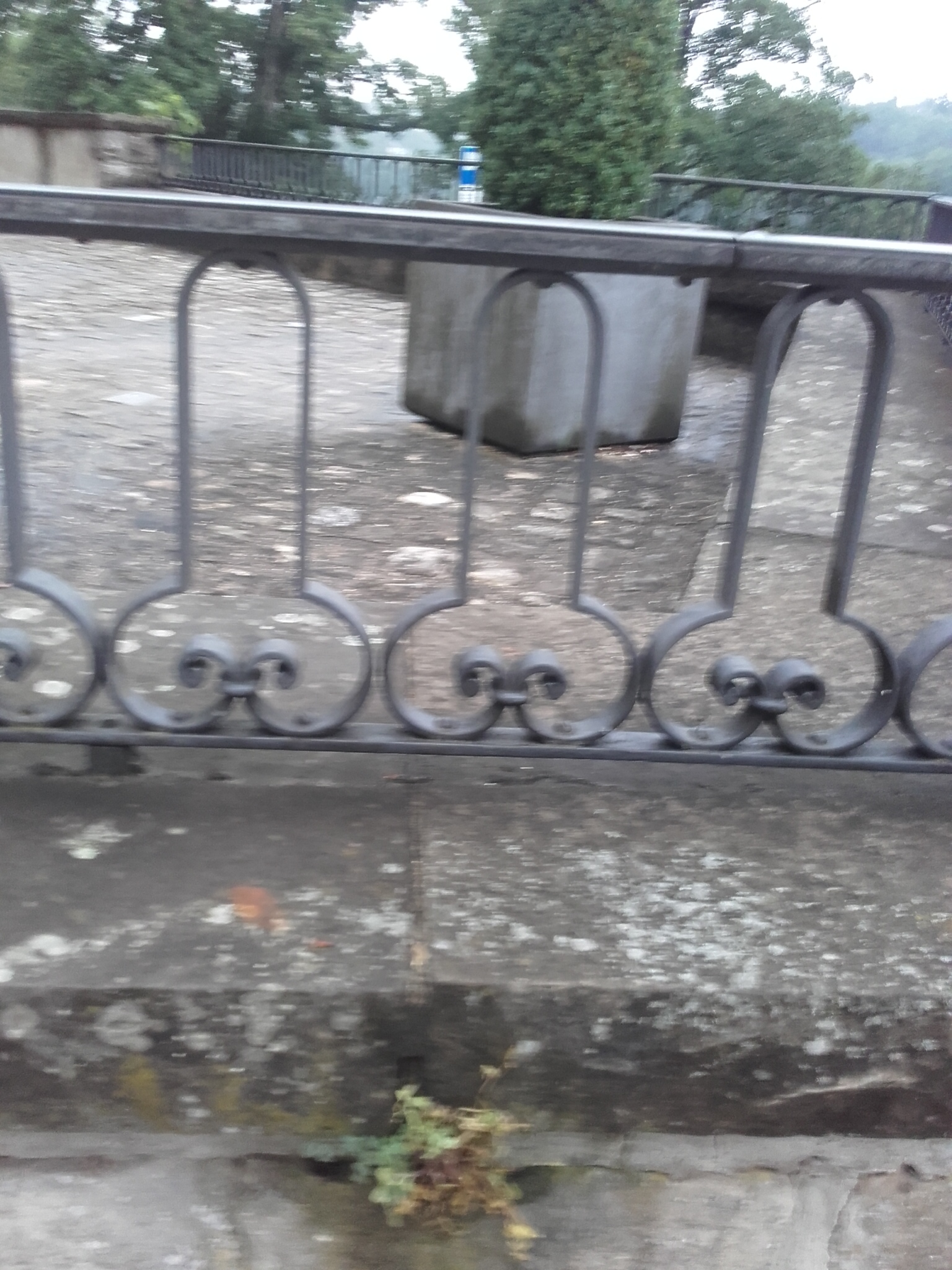 Feet_master81 OnlyFans header