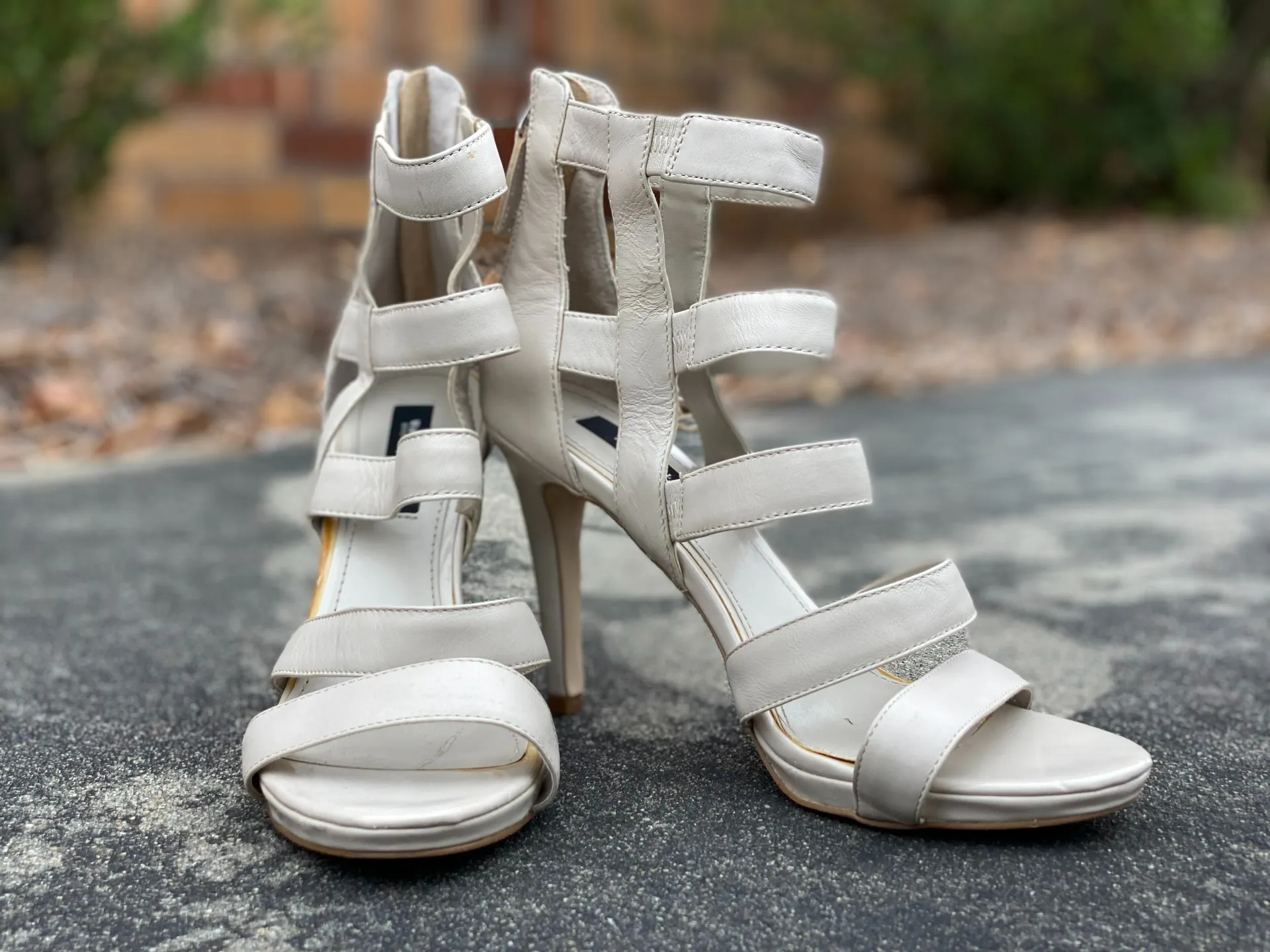 Prettie Piggies OnlyFans header